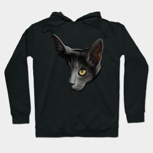 Black Cat Hoodie